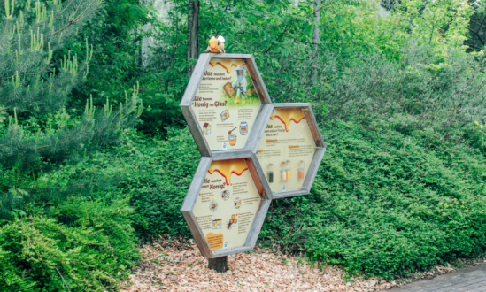 Bee Adventure Trail