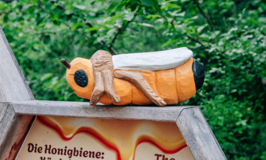 Bee Adventure Trail