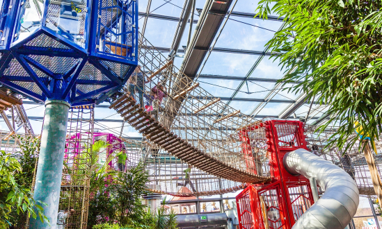 Indoor Climbing Area
