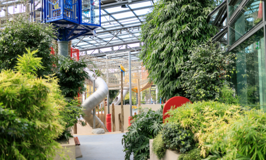 Indoor Climbing Area