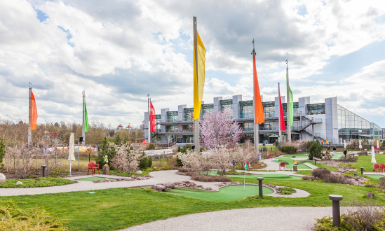 Mini-Golf Course