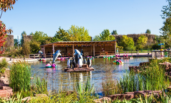 Power Paddle Boats