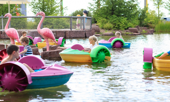 Power Paddle Boats