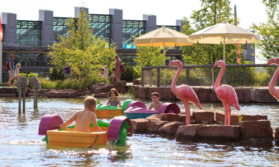 Power Paddle Boats