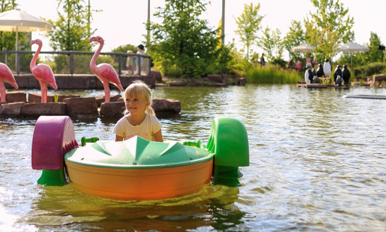 Power Paddle Boats