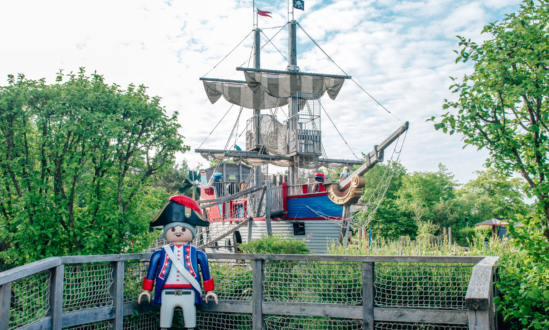 Pirates
