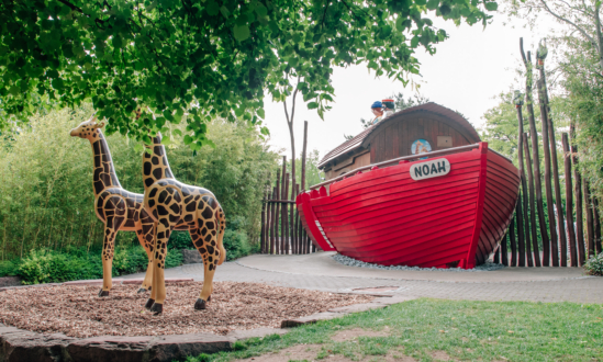 Noah’s Ark