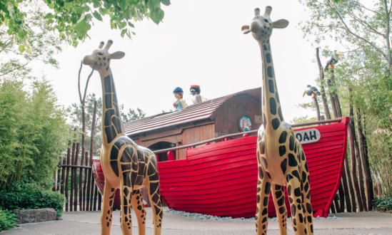 Noah’s Ark