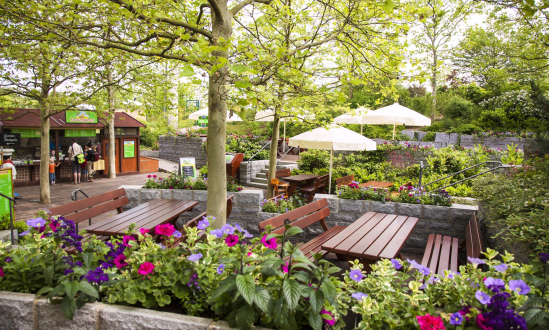 Self-Service Beer Garden