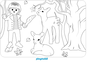 Playmobil Piraten Ausmalbild