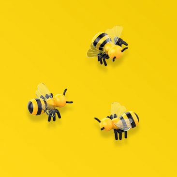 Bienen-Erlebnispfad