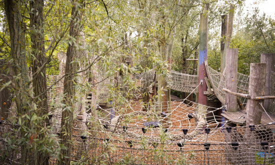 Adventure Tree House with dinos