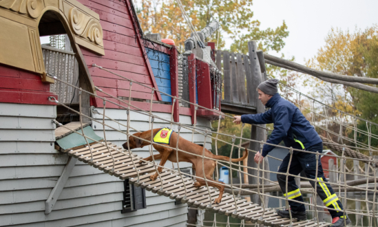 Rescue dogs practise at the PLAYMOBIL-FunPark